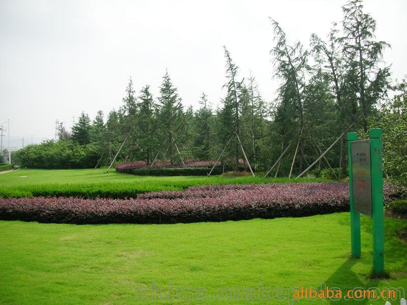 承攬綠化工程、園林施工、園林綠化工程養護