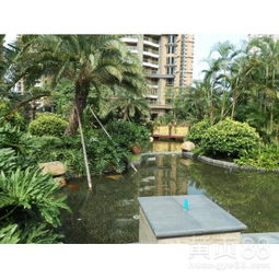 【工廠綠化養護、學校綠化養護、小區綠化養護修剪、園林綠化施工】-