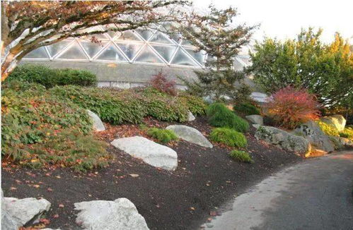 干貨丨園林綠化及園林綠化施工全解