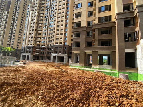 印象公園里園林綠化加緊施工,力爭(zhēng)按原計(jì)劃明年6月交房