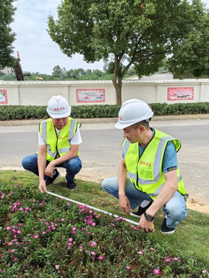 管護中心綠化工程質量安全服務站開展 質量安全專項檢查