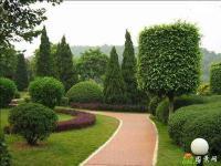 園林綠化工程技術