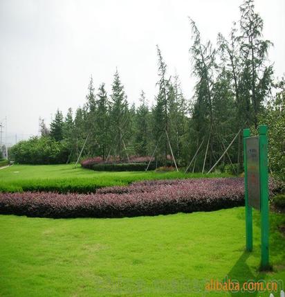 承攬綠化工程、園林施工、園林綠化工程養護