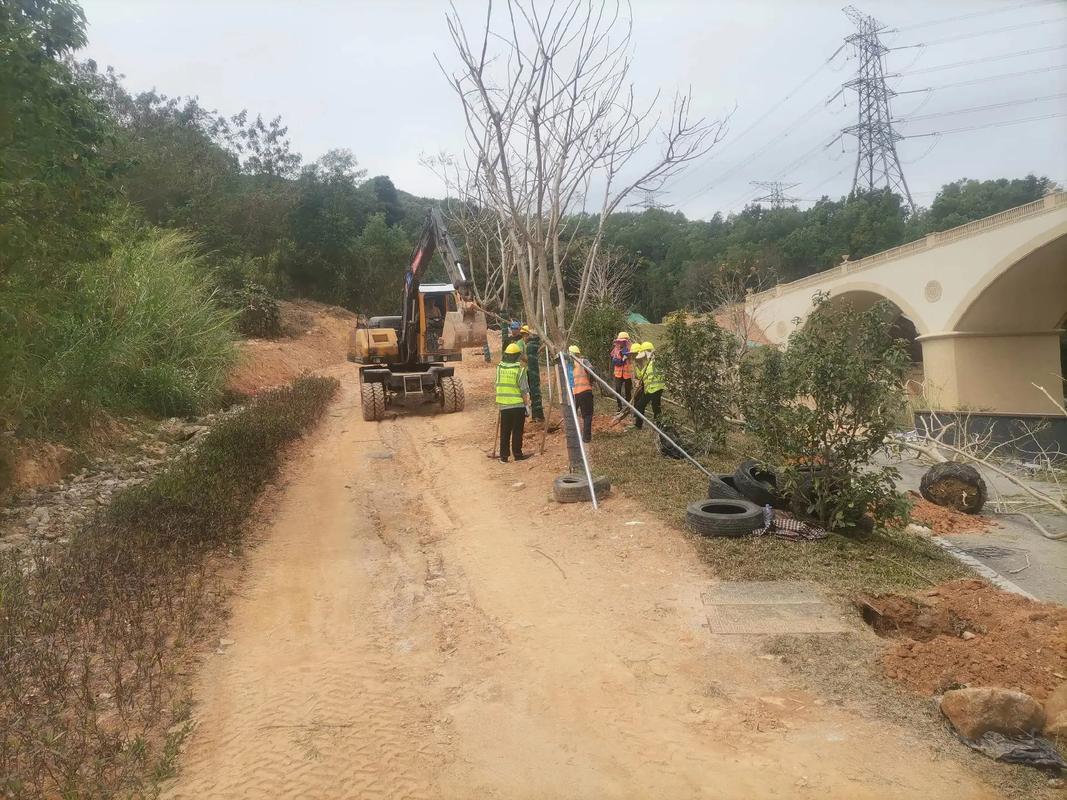 植樹節(jié),種樹#園林綠化工程 #施工現(xiàn)場(chǎng)實(shí)拍