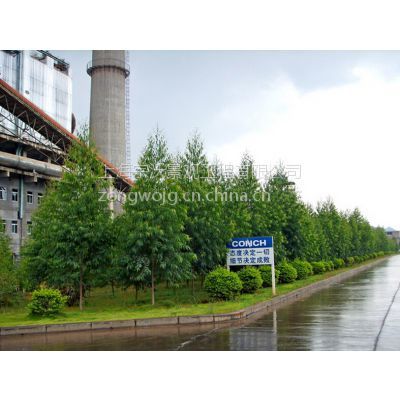 景觀設計_園林綠化_綠化養護_苗樹銷售&ndash;【上海宗沃景觀工程】