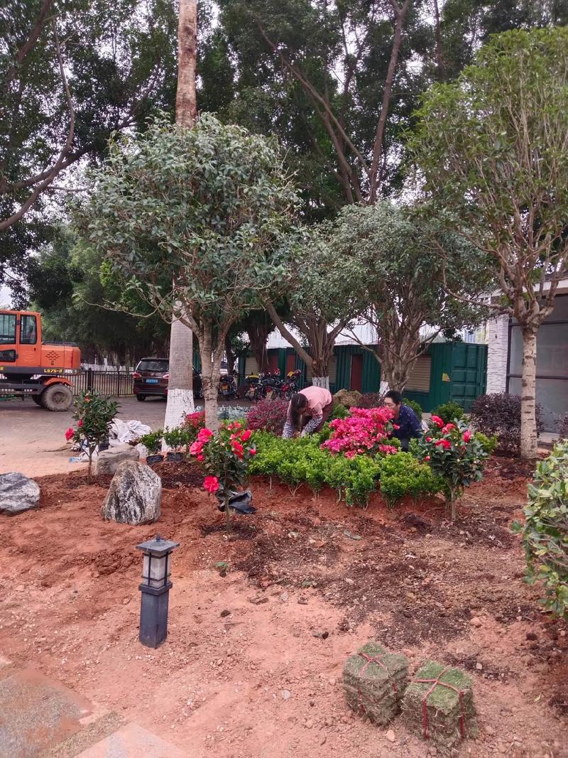 雙輪驅(qū)動城市活力 園林綠化與體育場地設(shè)施工程施工要點(diǎn)探析